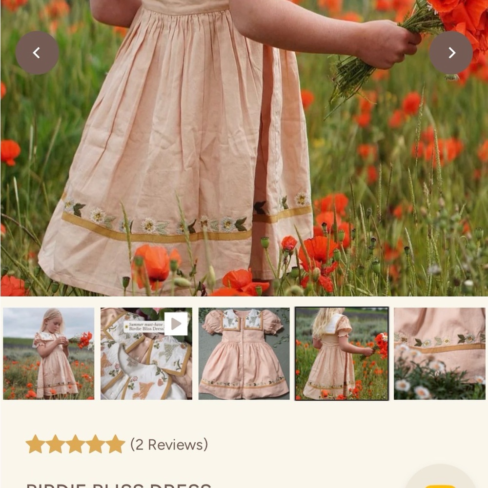 Shirley Bredal Birdie Bliss Dress (2-3) - Picture 4 of 13